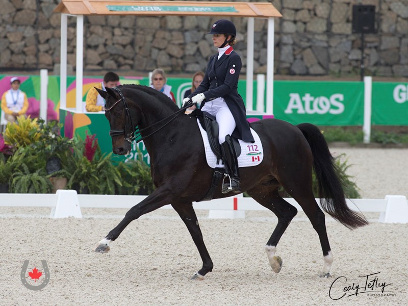Canadian Dressage Team Holding Close Second at Lima 2019 Pan Am Games